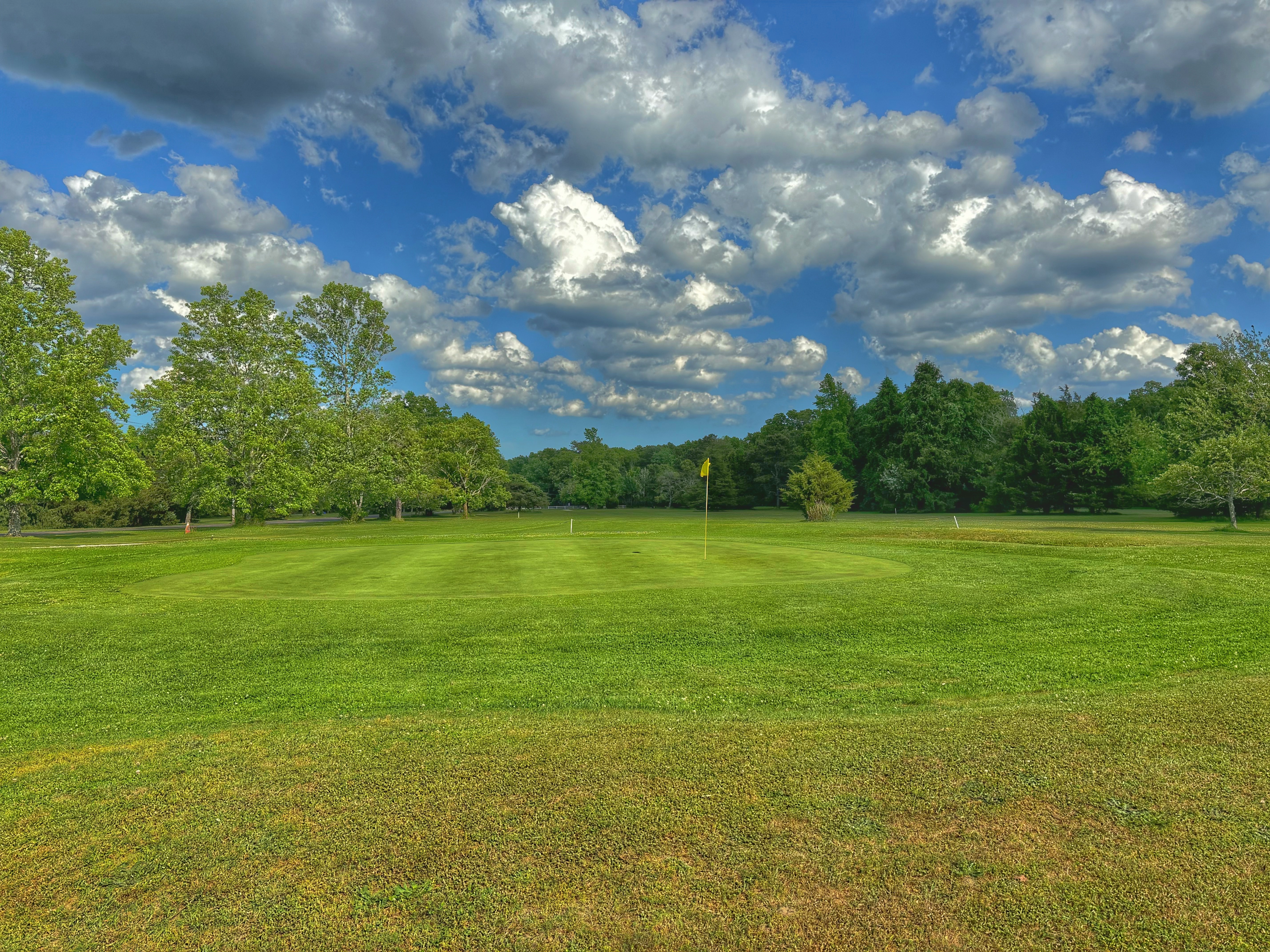 Image of golf ball on tee on grass.
